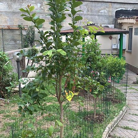 B&B Civitavecchia La Casetta Con Giardino 외부 사진