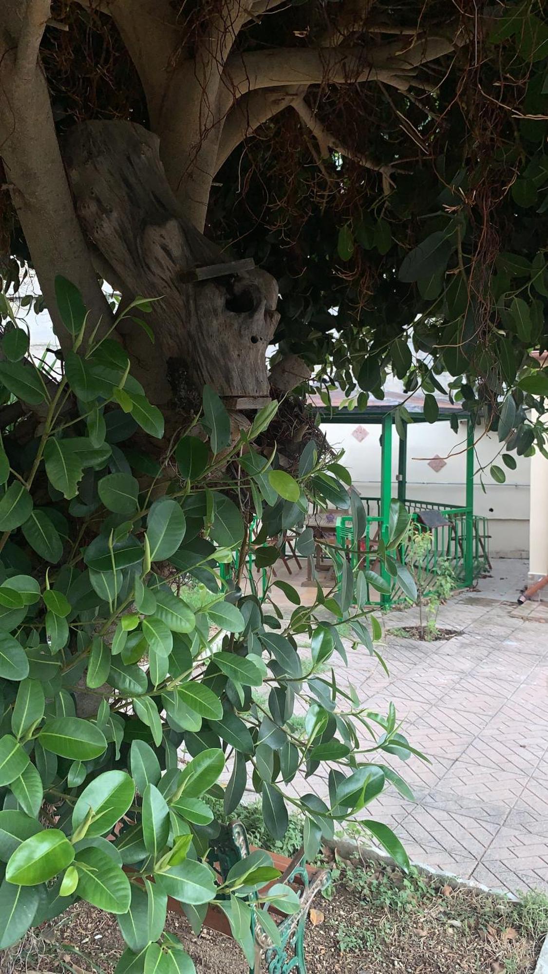 B&B Civitavecchia La Casetta Con Giardino 외부 사진