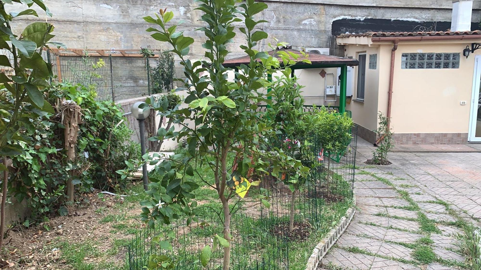 B&B Civitavecchia La Casetta Con Giardino 외부 사진