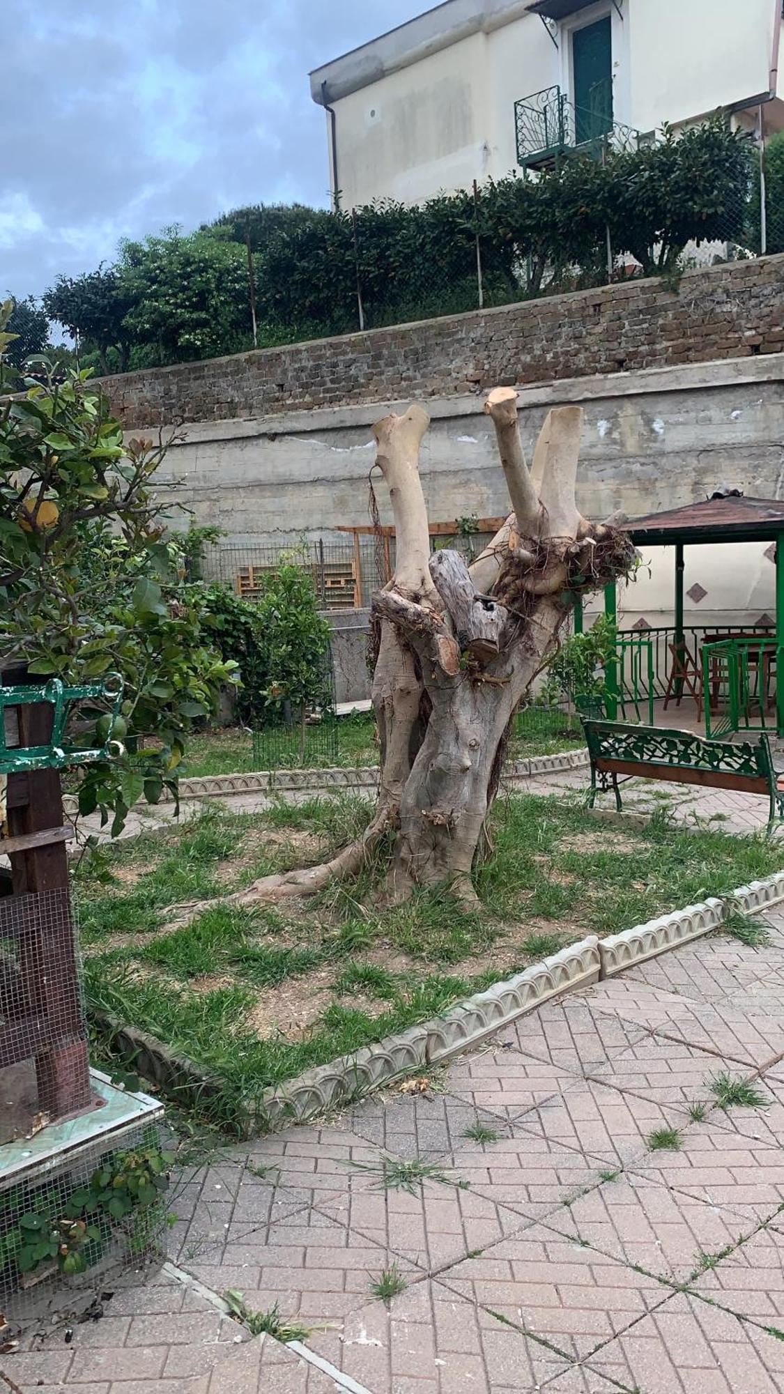 B&B Civitavecchia La Casetta Con Giardino 외부 사진